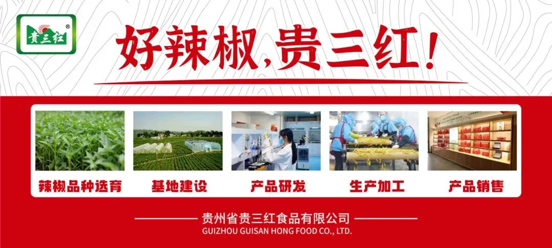 载歌载舞品辣味,一带一路连民心——科摩罗减贫与现代化建设研修班走进贵三红