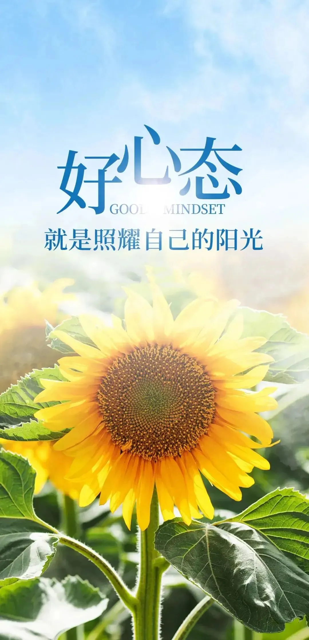 20首好听歌曲,你最喜欢哪一首