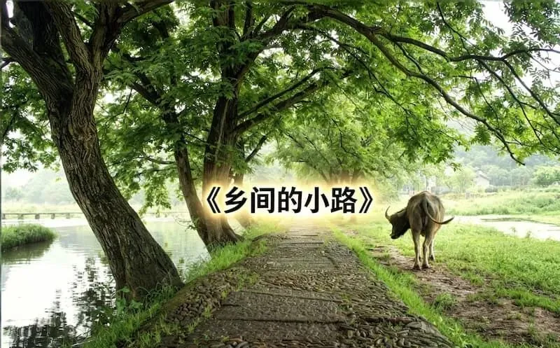 歌曲《乡间的小路》-1978年
