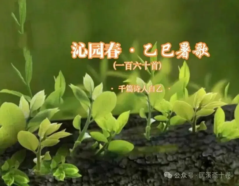 沁园春 · 乙巳暑歌(21)