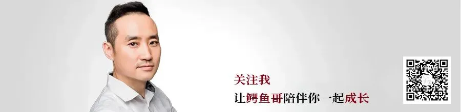 那些年那些歌之生如夏花
