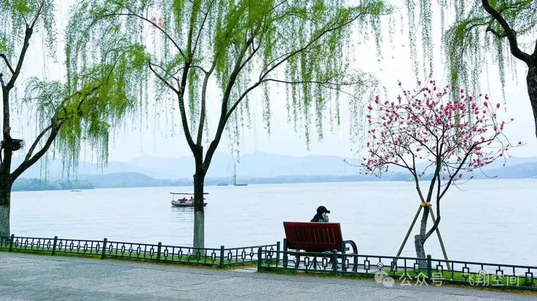独行:生命的终极皈依【歌曲《一个人独行》赏析】