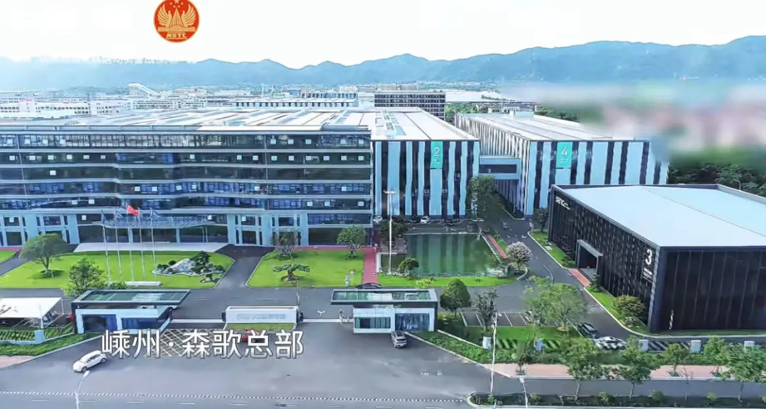 聊森歌,和他的圣吉尼定制系统