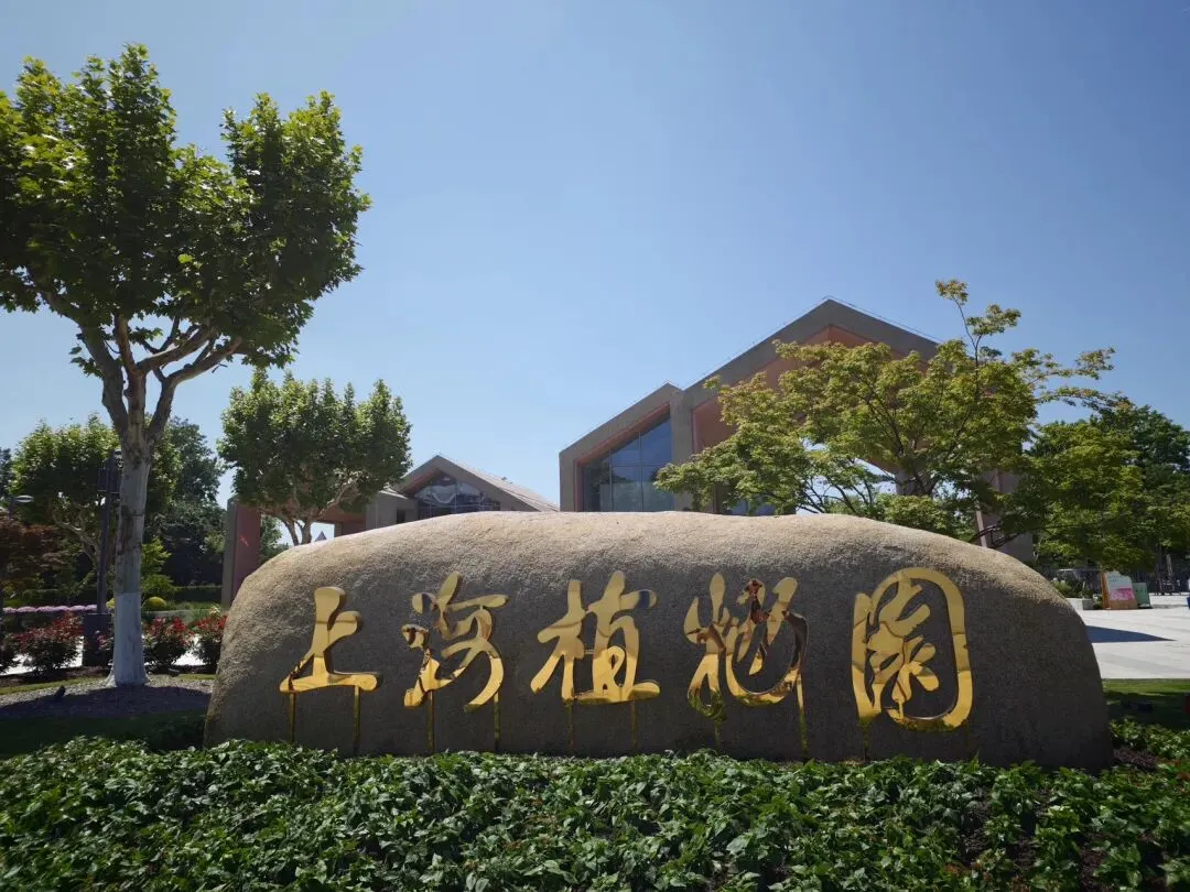李开唐|甘露歌·植物园漫步