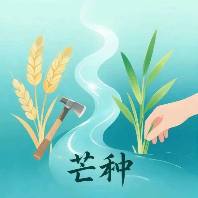 夏芒·本命长虹——歌曲解读