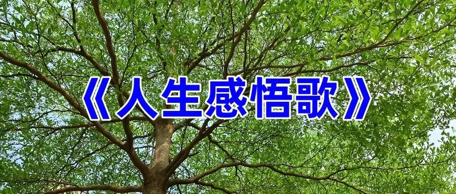《人生感悟歌》