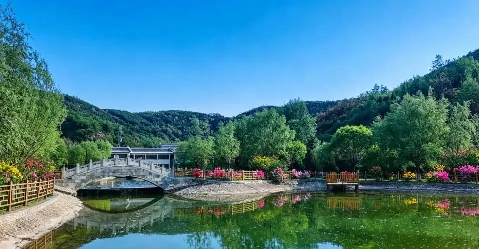水调歌头·槐夏初晓独行