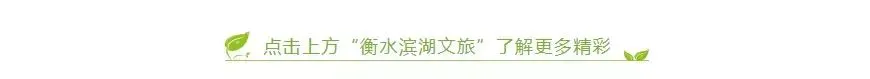 电影之歌律动衡水湖演唱会燃爆湖城