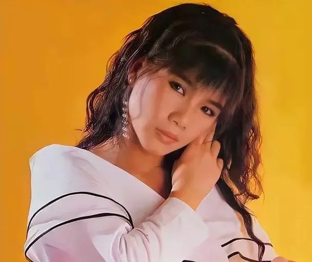 1987年的回忆是粉红色的|流金岁月忆老歌025