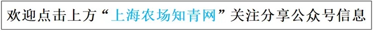 【上海故事】岁月如歌 知青情长