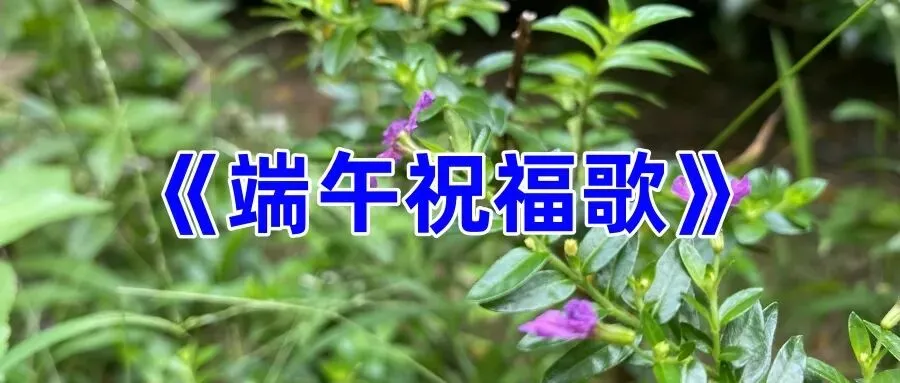 《端午祝福歌》