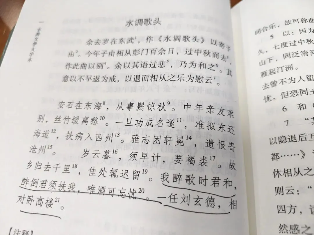 词评:苏轼《水调歌头》(安石在东海)——一位普通漂泊者的真心
