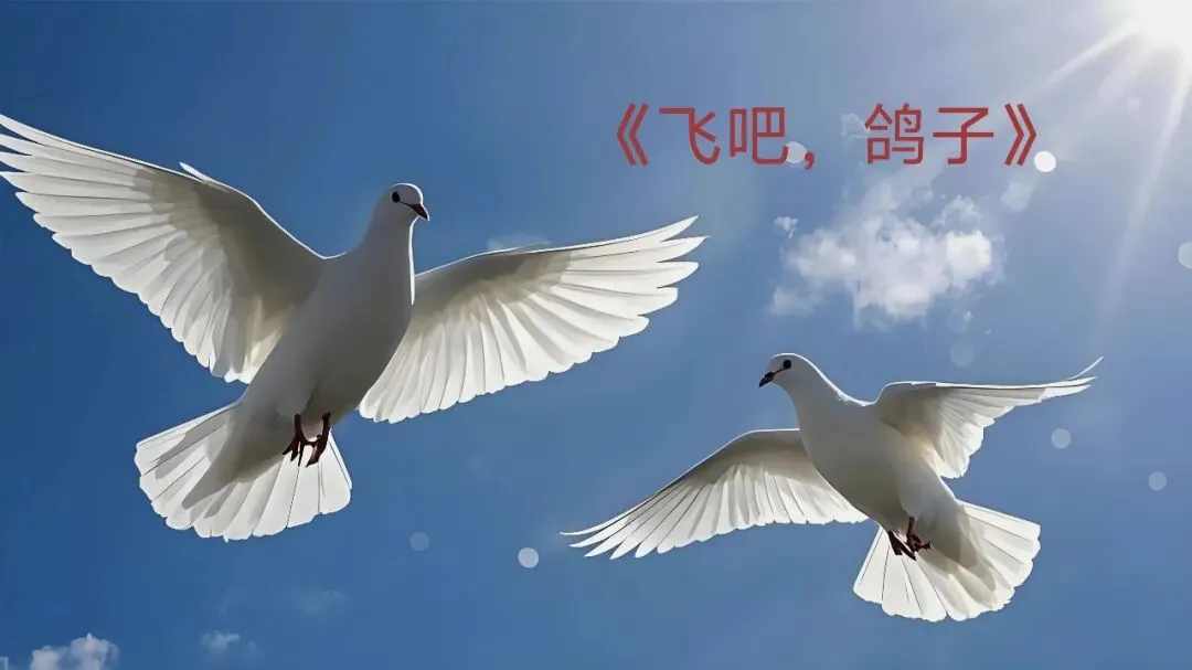 经典影视歌曲:《飞吧,鸽子》