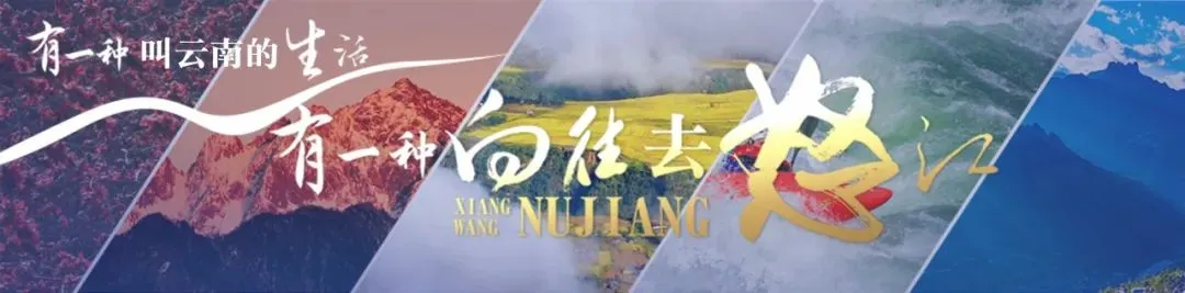 歌起罗古箐!通甸端午踏青,这场活动体验感满满~
