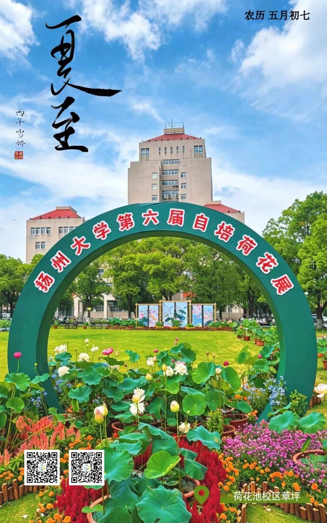 夏至 | 一曲清歌映荷展,尚有香蒲晕