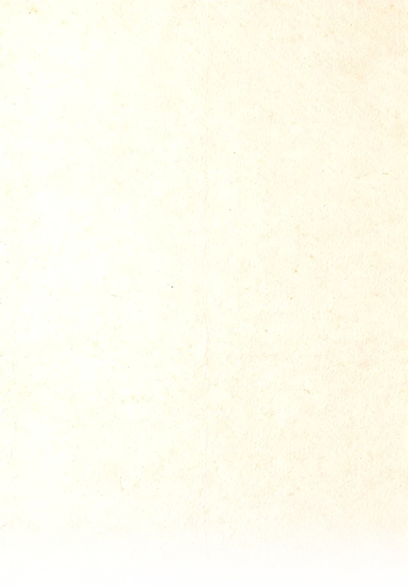莆田原创歌曲《五日节,扒龙船》