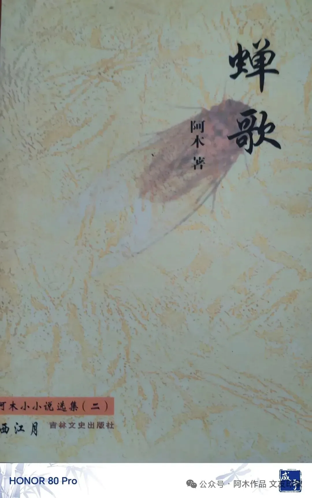 《蝉歌》系列:第37篇
