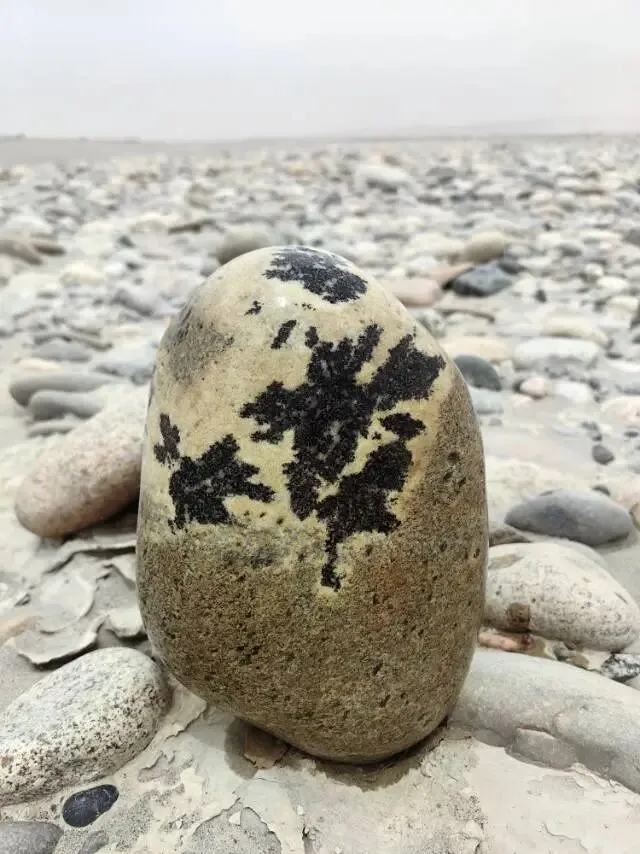 载歌载舞,天然一幅起舞图
