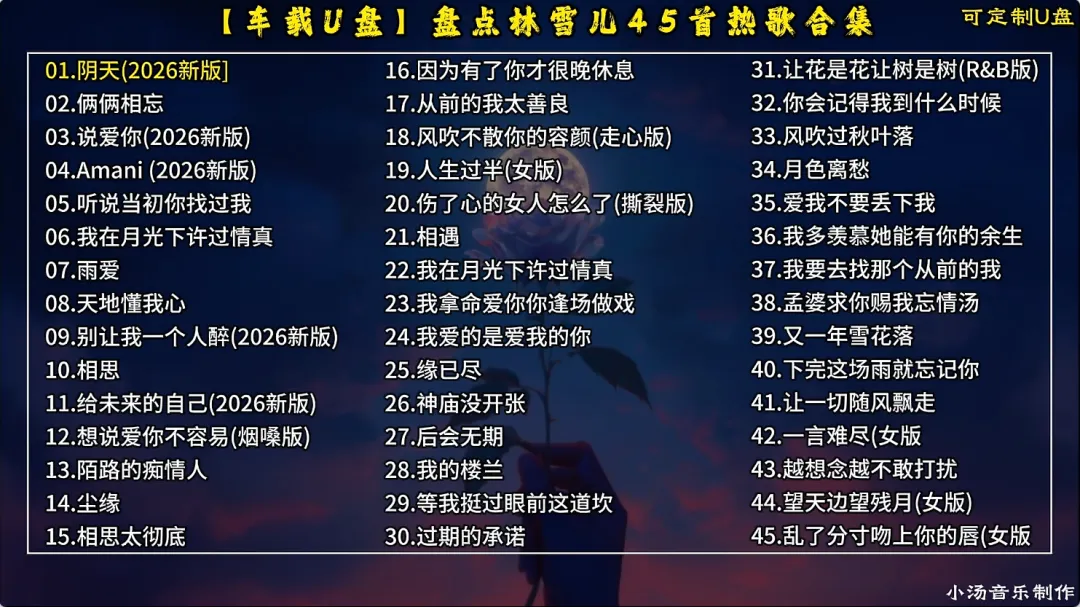 【车载U盘】盘点林雪儿45首超好听热门歌曲合集