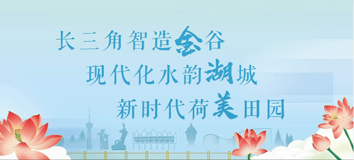 V视频 | 历届荷花节经典歌曲