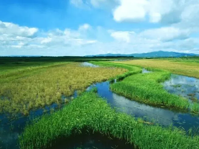 大美城歌||《放歌大三江》