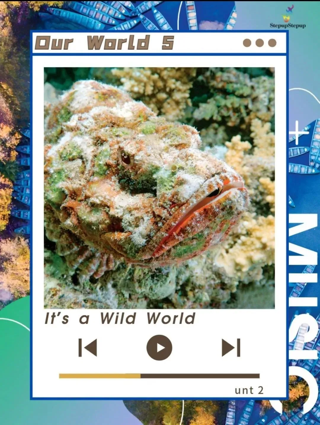 Our World 环球少年英语五级歌曲|一首《It's a Wild World》吃透生物野外生存句型