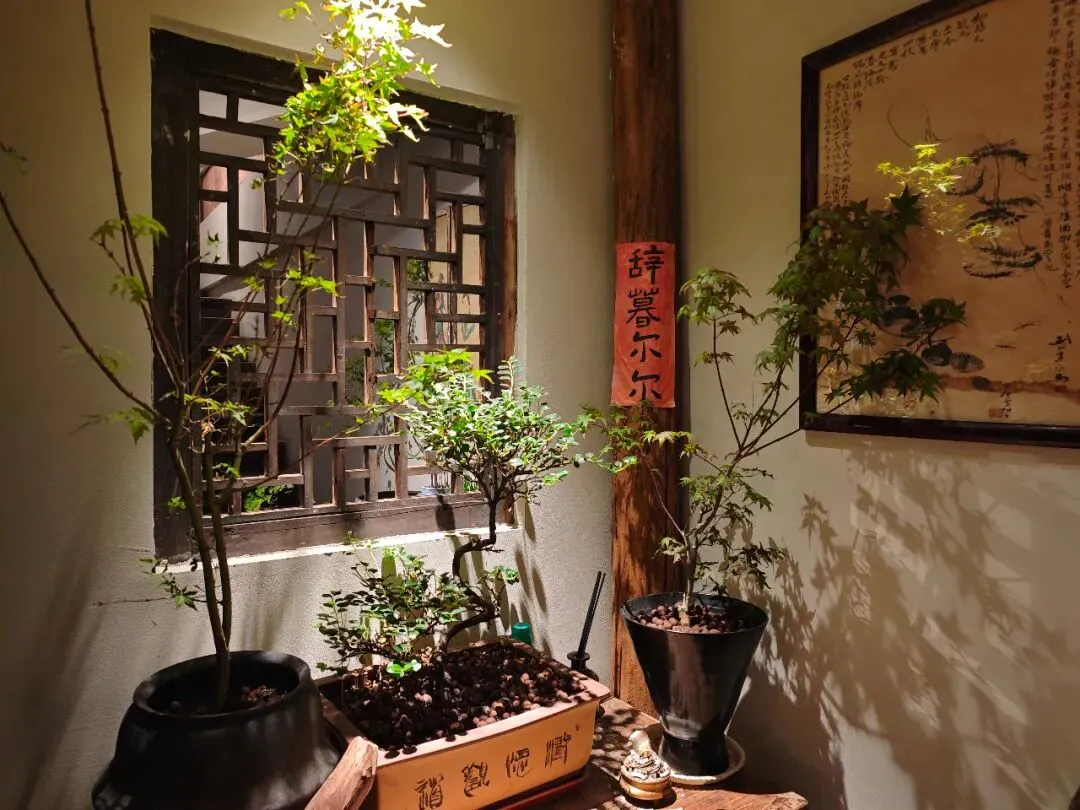 广场歌