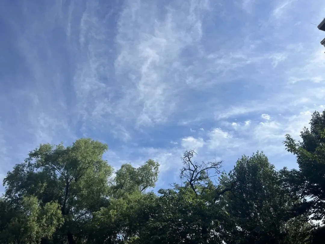 陪你11岁:你唱的歌