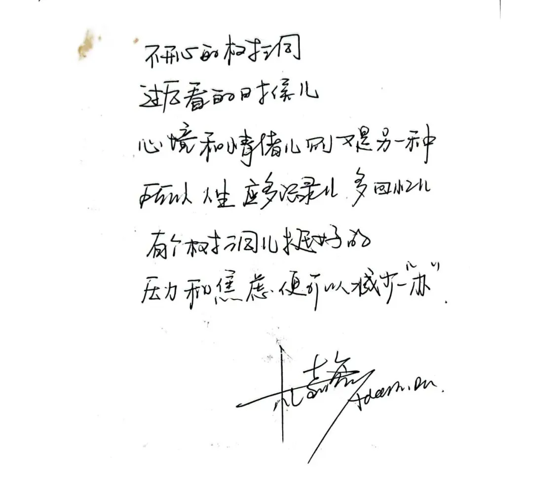 岁月如歌,笔尖生花:在树洞里安放一个不羁的灵魂