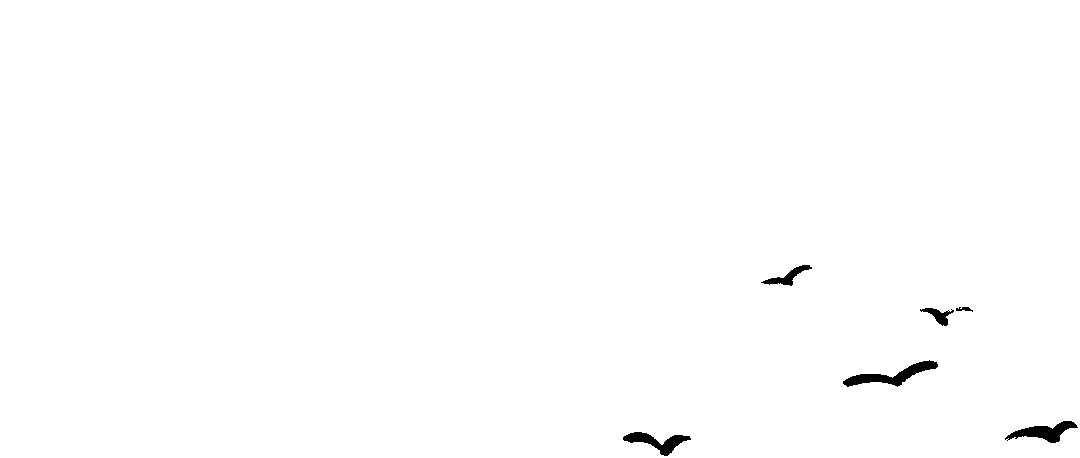 今日主题:劳动(歌曲)