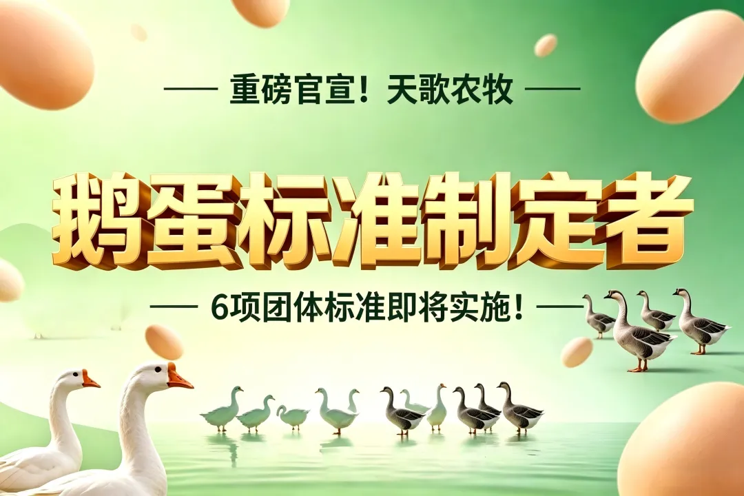 重磅官宣!天歌农牧荣获“鹅蛋标准制定者”殊荣,6项团体标准即将实施!