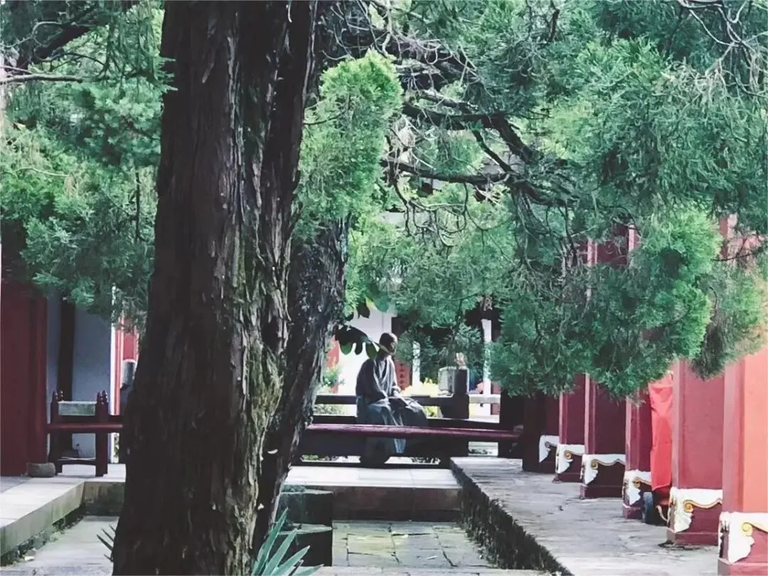 熊国太AI歌曲最优20首(1-10)