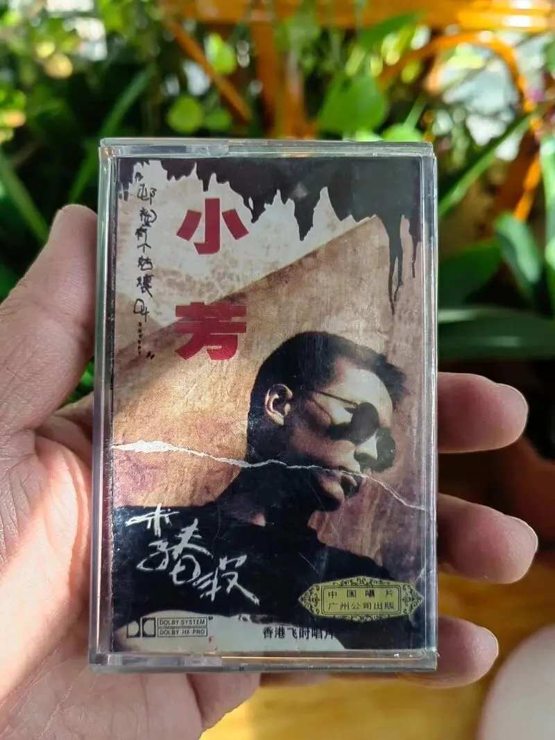 80首老歌名字出现在一篇文章中,会是什么效果?