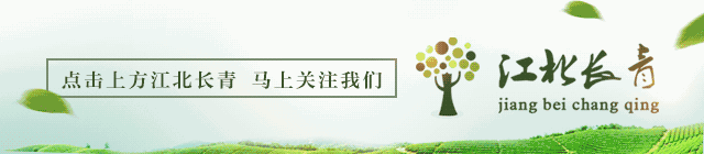 长青简讯 | 岁月如歌 唱响夕阳 宁静合唱研修班学期学习汇报