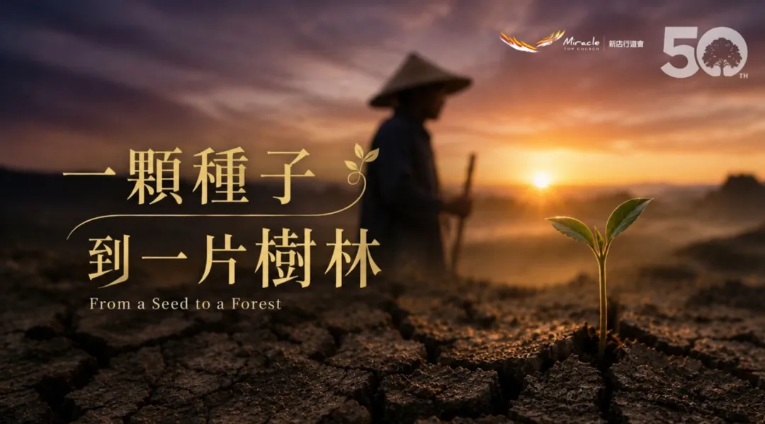 ▷歌曲分享 |从一颗种子到一片树林-Top Worship