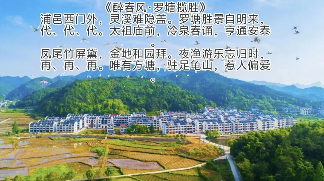 诗魂当歌