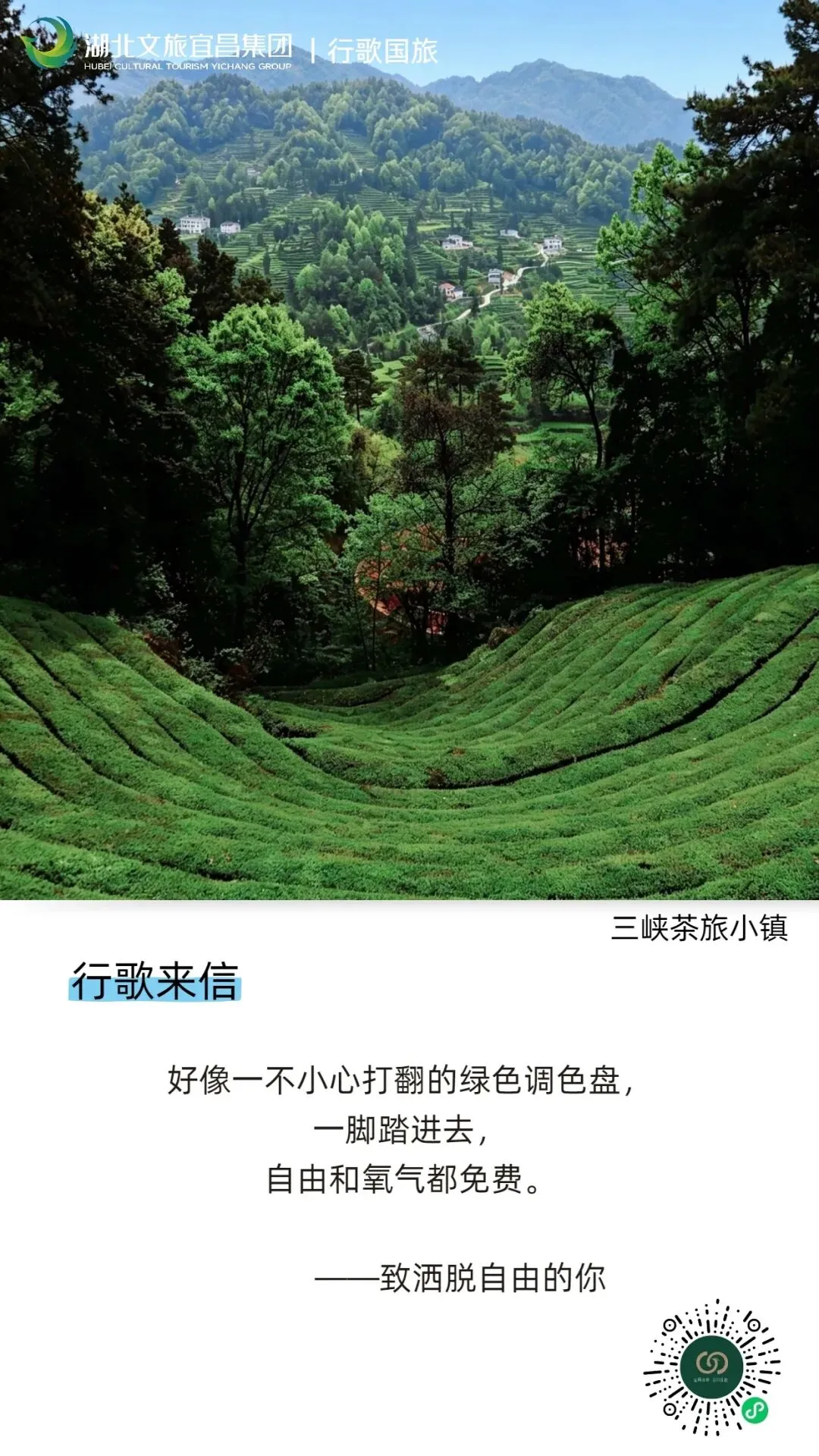 行歌来信 | 致洒脱自由的你