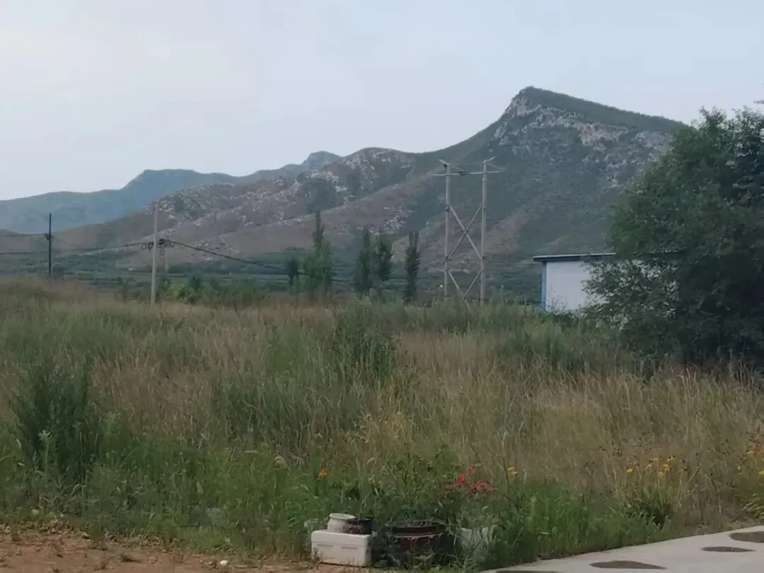 爬上了土山,唱起了歌