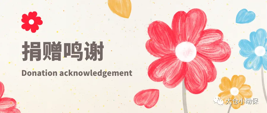 捐赠鸣谢丨清歌捐赠物资
