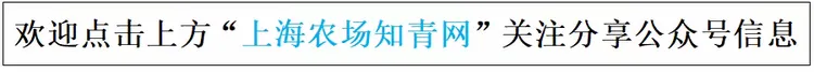 青春之“歌”——陪伴你我度过青春的歌曲老照片