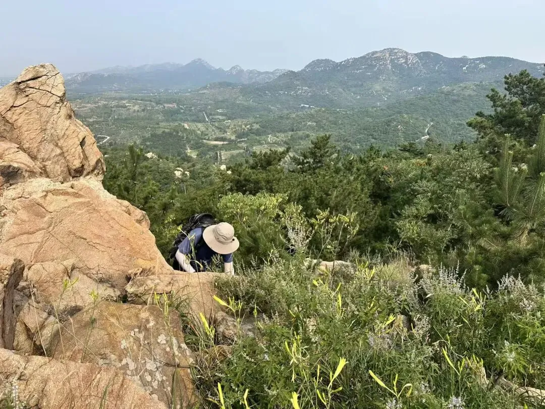 当风长歌:人生清欢,贵在随心,不在贪求