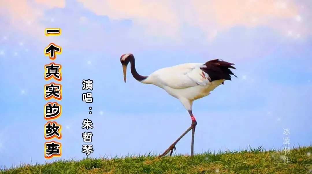经典老歌|《一个真实的故事》,也是一个凄婉哀艳让人伤感的故事