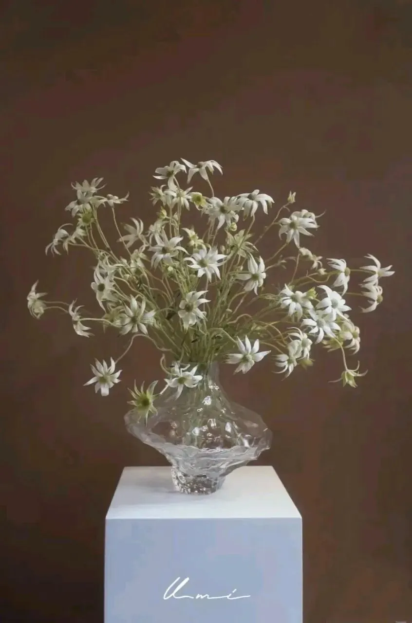 歌曲《雪绒花(Edelweiss)》完整创作背景