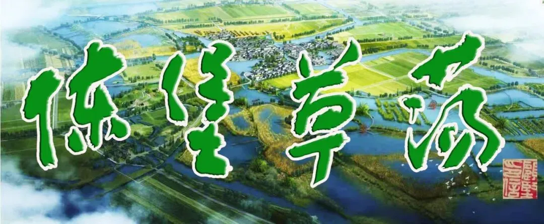 潘怀宏|橄榄树——歌曲赏析(三)