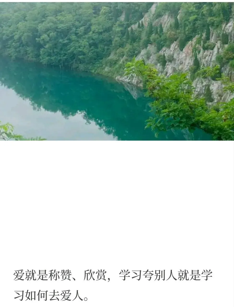 一首歌,一首诗,读懂什么是爱