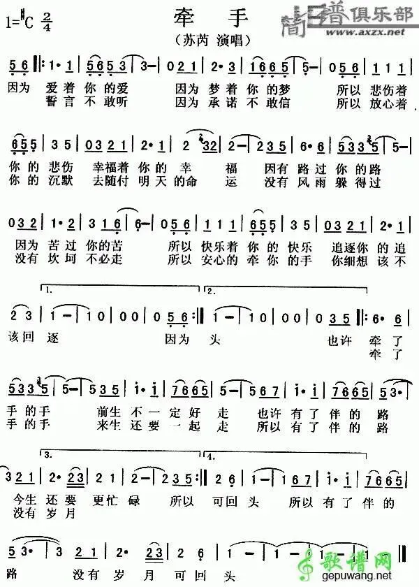 苏芮歌曲《牵手》歌词及赏析