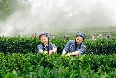 乐评|乡土歌曲的破界表达