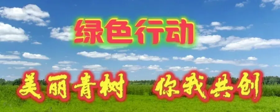 乡村振兴的诗意画卷——形象歌曲《醉美青树坪》赏析