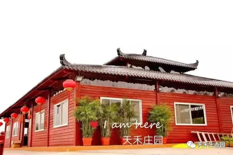 吃农家鲜菜,唱欢聚老歌,天禾宴席一站式搞定!