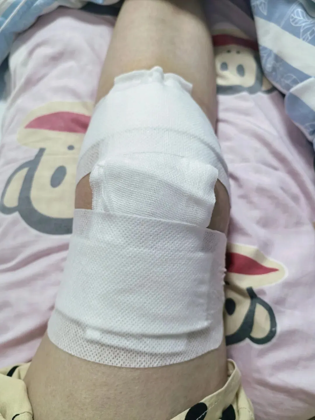 报之以歌(19)